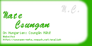 mate csungan business card